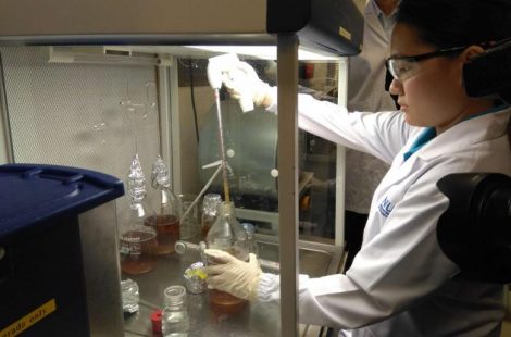 NUS creates beer good for your gut