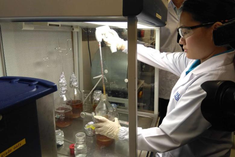 NUS creates beer good for your gut